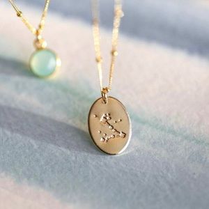 Pisces Bohemian Zodiac Minimalist Charm Necklace